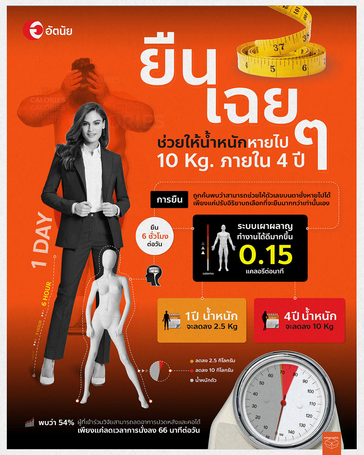 info ยืนลดน้ำหนัก info ยืนลดน้ำหนัก