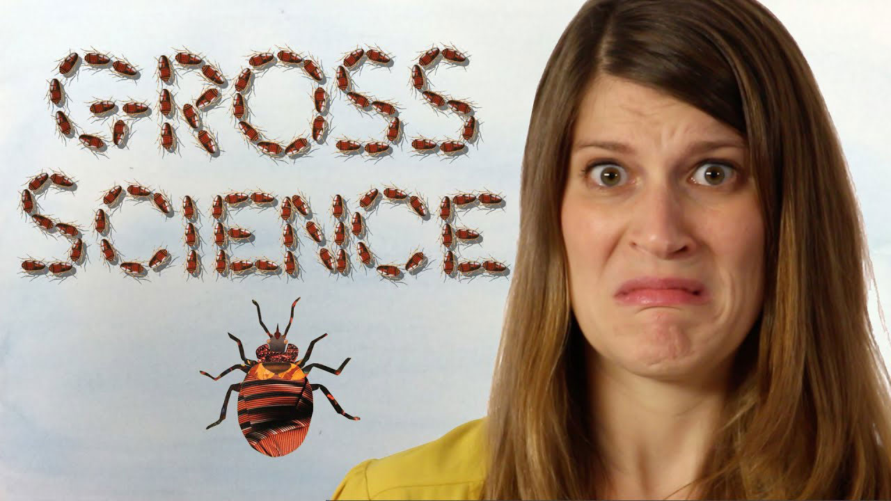 Gross Science