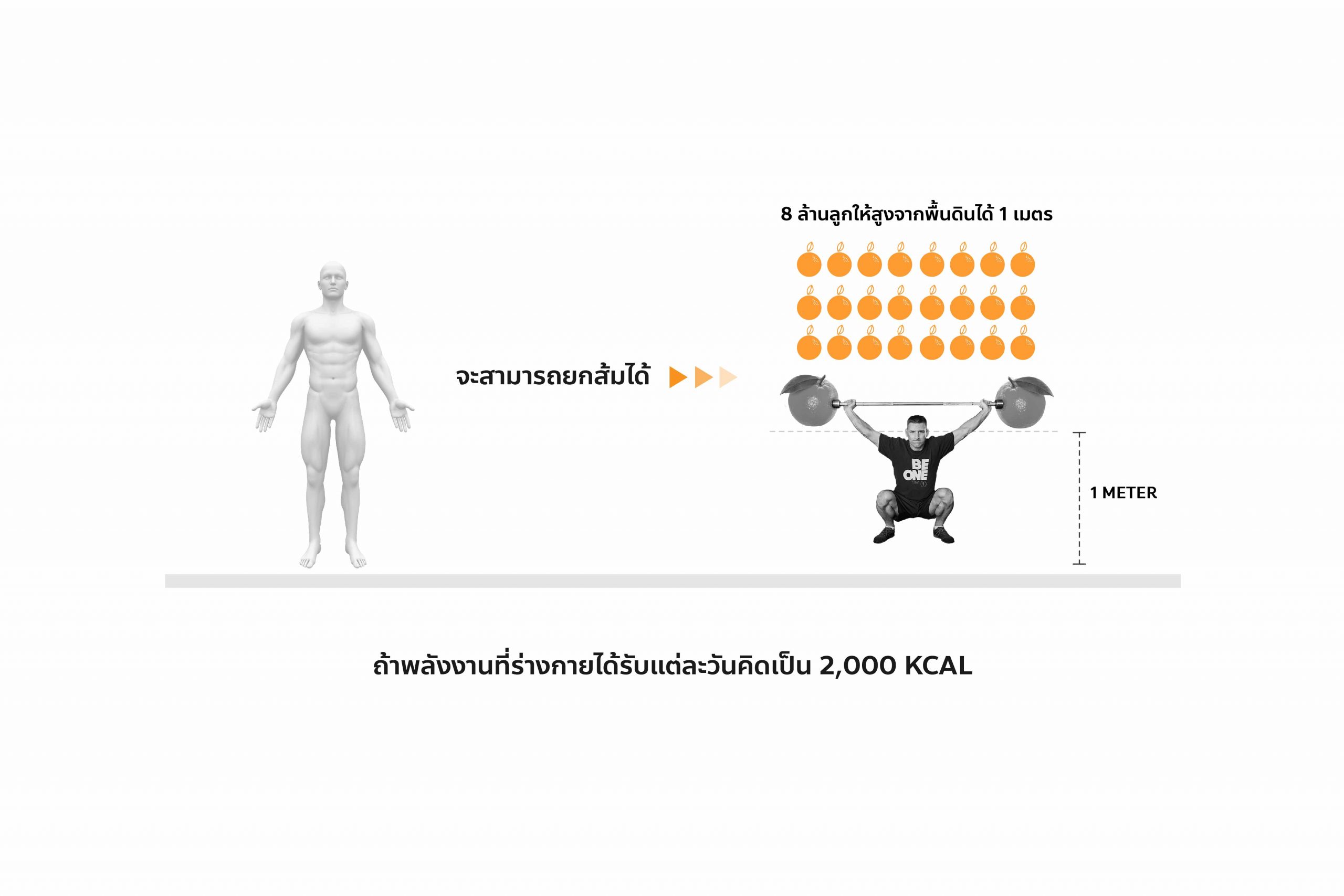ภาพประกอบ Info เราใช้พลังงานกันอย่างไร-01