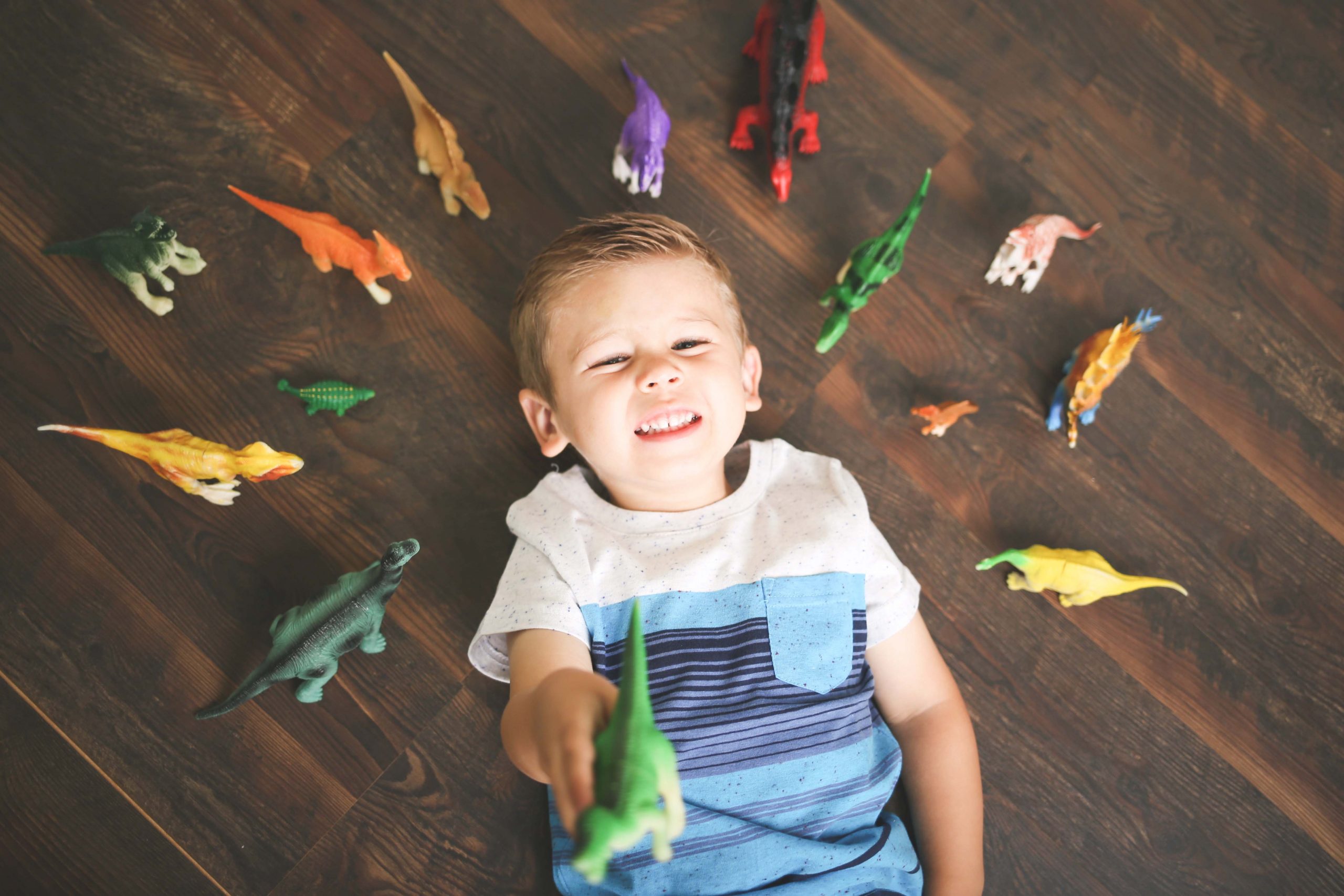 Little,Boy,Plays,With,Toy,Dinosaurs