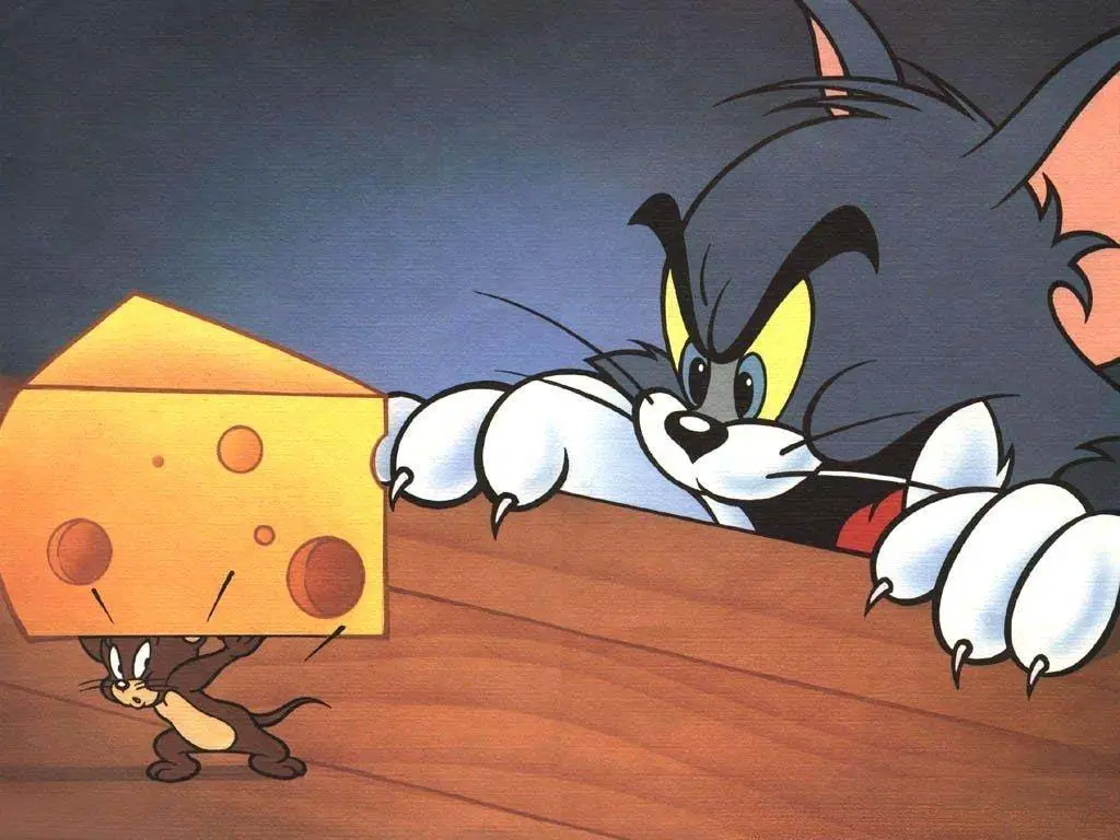 การ์ตูน Tom & Jerry ความทรงจำที่ซ่อนไว้ใต้คำว่า - หนูกับแมวตีกัน