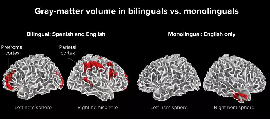 จะเรียนภาษาอื่นไปทำไมในเมื่อมี Google Translate จะเรียนภาษาอื่นไปทำไมในเมื่อมี Google Translate
