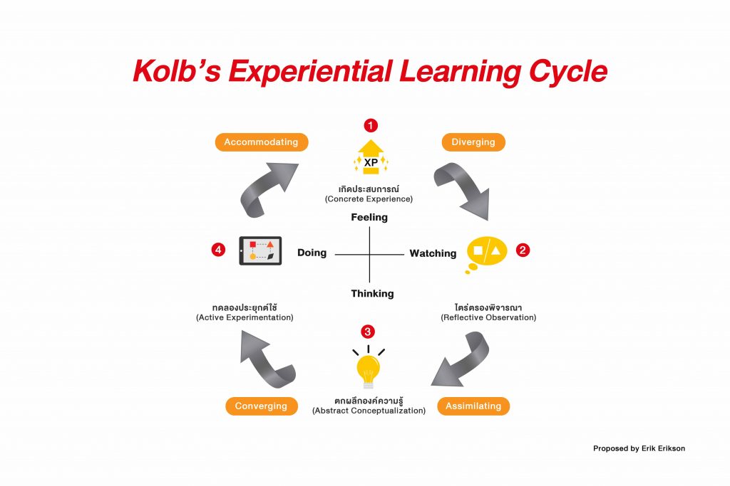 ทฤษฎีการเรียนรู้จากประสบการณ์ 4 ขั้นตอน