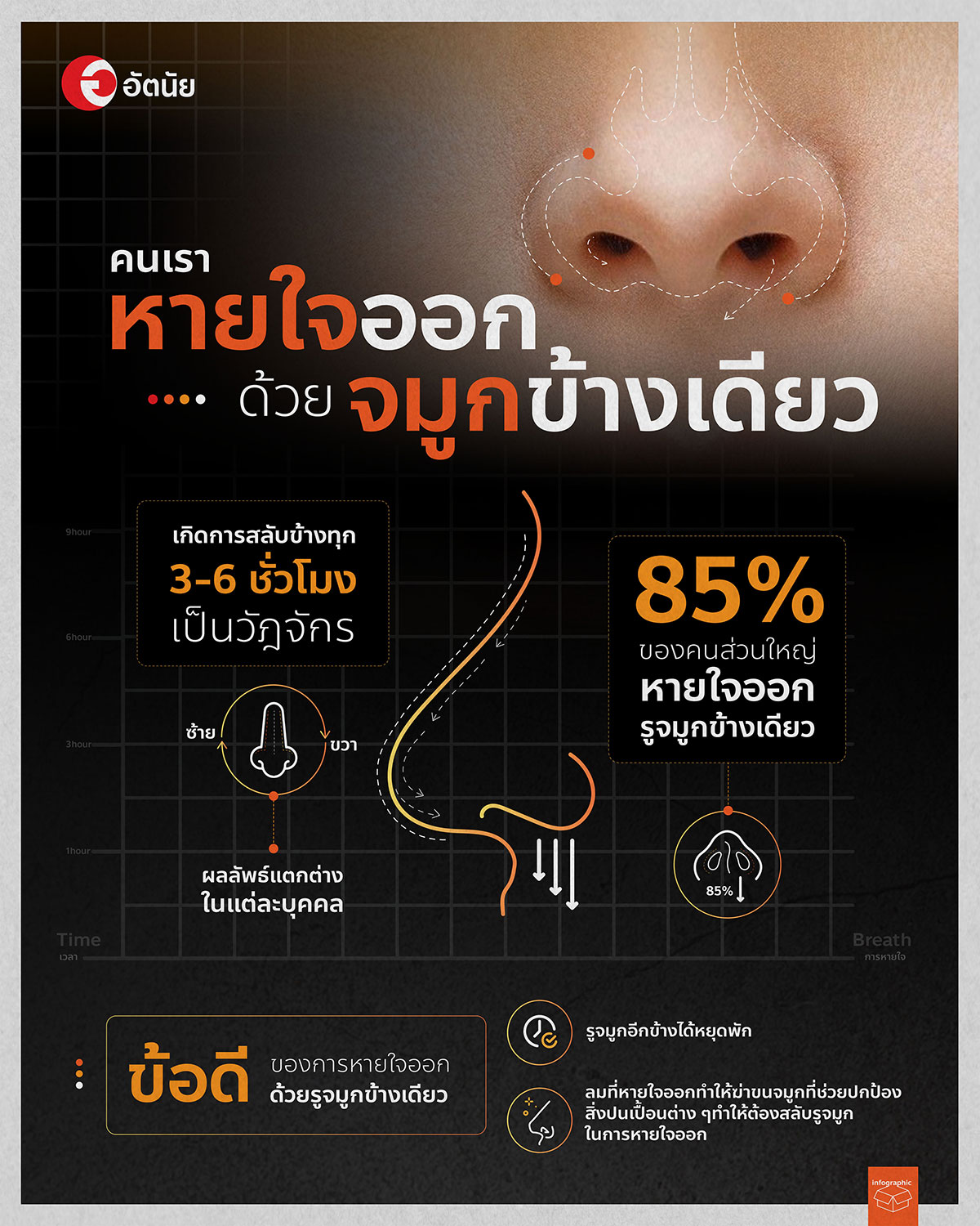 info เราหายใจออกด้วยจมูกข้างเดียว