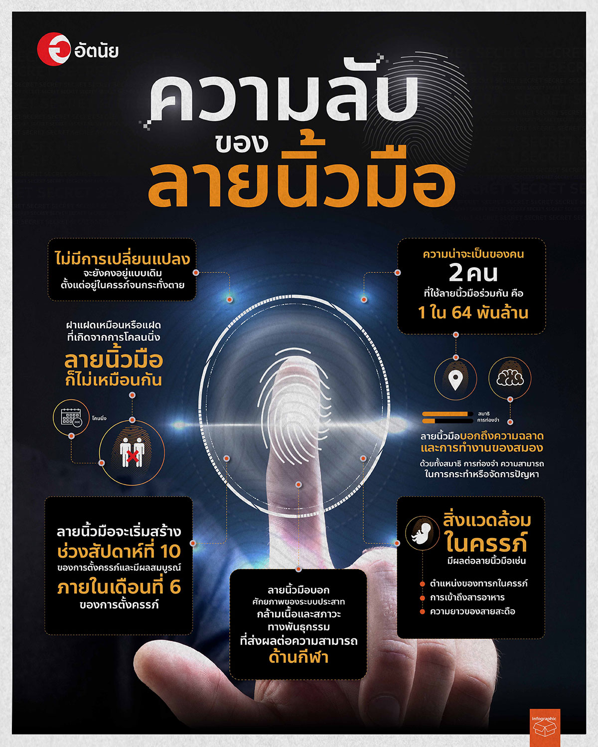 infographic-ความลับลายนิ้วมือ-01