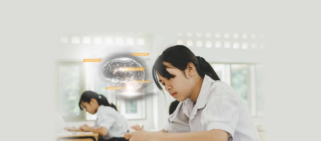 Systems Thinking