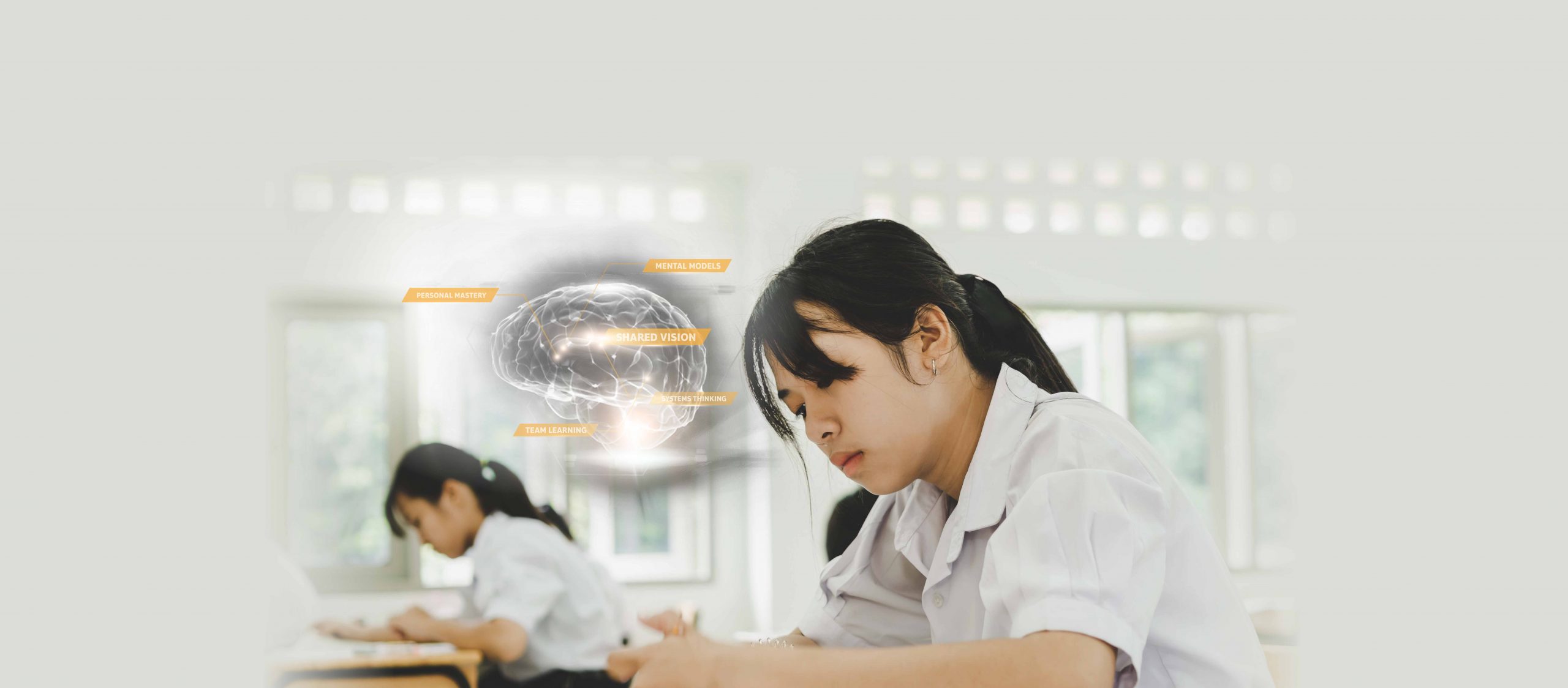 Systems Thinking