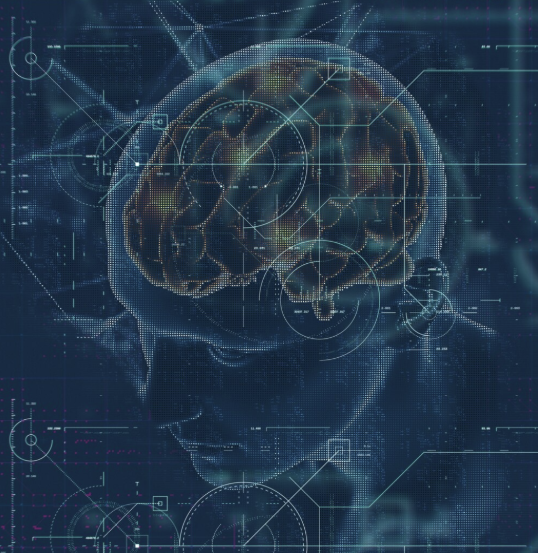 Systems Thinking 