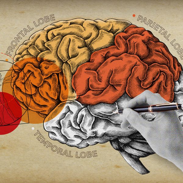 การเขียนส่งผลต่อสมองเราอย่างไร